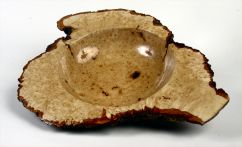 Bowl in Field Maple Burr by Gordon Angier - click for full size image