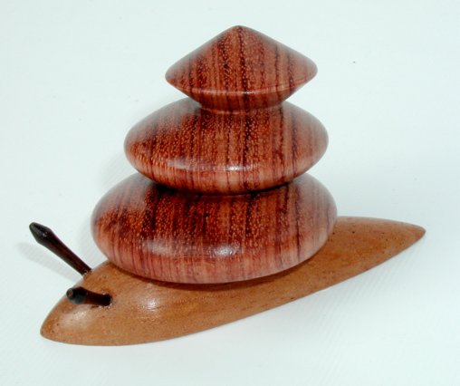Snail by Harry Leedham