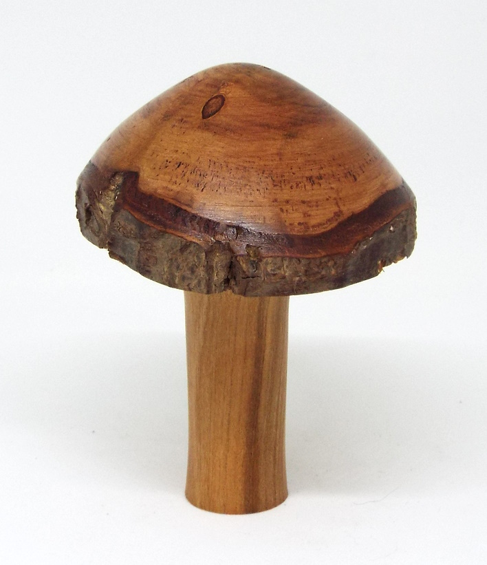 Toadstool by Roger Patock
