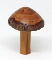 Toadstool by Roger Patock - click for full size image